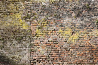 Wall of the cathedral district, St., Sankt, Saint