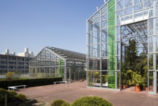 Botanical Garden, greenhouse, behind it Institute of Pharmacy and Chemistry