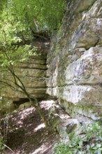 Medieval Kapfelberg quarry, Teugn, stones were quarried here in the Middle Ages for building the