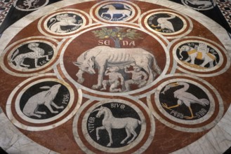 Siena, Duomo Santa Maria, interior, marble floor from 1369, detail with Sienese she-wolf