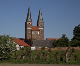 Towers seen from the west from the Elbe floodplain, in front pollarded willows, St., Sankt, Saint