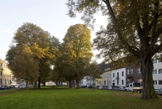 Krefeld, Hohenzollernstraße, view to the south