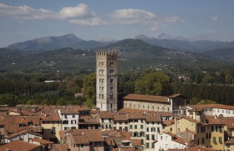 View from Torre Guinigi, St., Saint, Saint