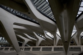 Lyon, Gare de Saint-Exupéry TGV, (formerly Gare de Satolas)