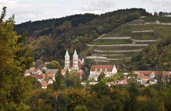 Town and town church, behind it the historic Edelacker vineyard, St., Sankt, Saint