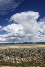 Wild thunderstorm and rain clouds over Highway 50, Loneliest Road in America, Ely, Nevada, USA,