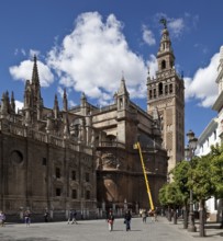 Seville, Cathedral. Seville Cathedral with bell tower, St, Saint, Saint