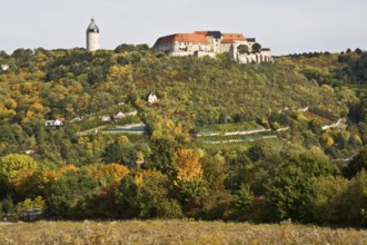 Freyburg/Unstrut, Neuenburg Castle and ducal vineyard