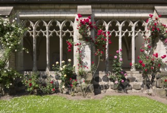 Cloister with roses, St., Saint, Saint