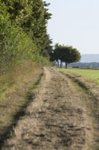 Erftstadt, Römerstraße near Friesheim