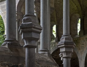 Heisterbach, abbey ruins Ruins of the abbey church Built 1202-37 Partial view View inside to the