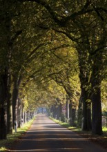 Krefeld, Hökendyk between Kliedbruchstraße and Mörser Straße