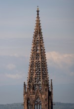 Freiburg im Breisgau, Cathedral of Our Lady, spire from the east