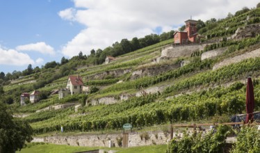 Freyburg Unstrut vineyard houses. Construction period 18-20 c. Schweigenberg vineyard