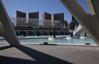 City of Arts and Sciences (cat./val. Ciutat de les Arts i de les Ciències), view from the MUSEO DE