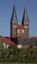 Towers seen from the west from the Elbe floodplain, in front pollarded willows, St., Sankt, Saint