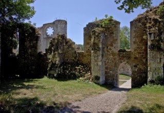 Ruins of the monastery church from the north, behind the ruins of the south transept with rose