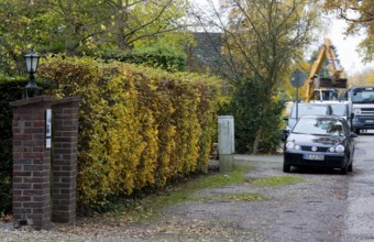 Krefeld, Kliedbruchstraße 67, Tor tor with old beech hedge in front of clearing in 2012