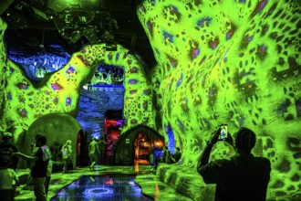 Panoptikum, visual art at the Meow Wolf Museum, Area 15, Las Vegas, Nevada, USA, North America