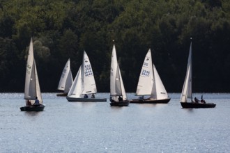 Sailing regatta of the SCV Segelclub Ville, Zugvogel, Schwertzugvogel