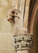 North aisle, Heinrich-und-Kunigunden altar from around 1320, detail dog, St., Sankt, Saint