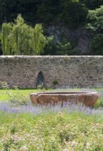 Monastery wall and fountain bowl in the former cloister