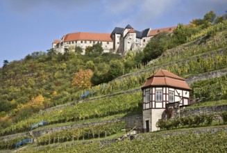 Freyburg/Unstrut, Neuenburg Castle and ducal vineyard