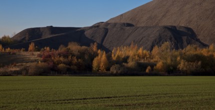 Copper slate mining spoil heap near Polleben