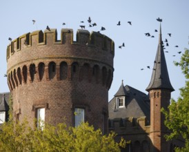 Moyland, castle park in spring