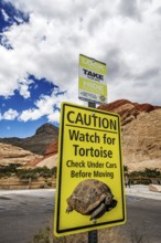 Watch out for turtle sign, Red Rock Canyon National Recreation Area, Nevada, USA, North America