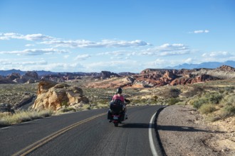 Motorcyclist in the Valley of Fire State Park, Nevada, USA, North America