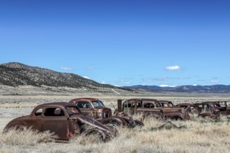 Junkyard with classic cars, Ely, Nevada, USA, North America