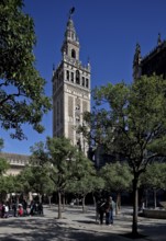 Seville, Cathedral. Bell tower GIRALDA in front of orange courtyard Seville, St., Saint, Saint