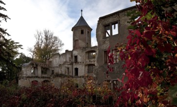 Ruins of the castle of the von Veltheim family, rebuilt between 1751 and 1759 by the