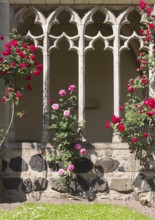 Cloister with roses, St., Saint, Saint