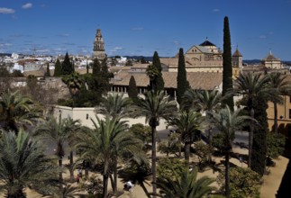 Mezquita-Catedral de Córdoba, seen from the Alcazar, St., Saint, Saint