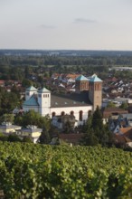 Built in 1830 by Georg Moller, rebuilt 1949-1953, view from the Kirchberg, Abends, St., Sankt,