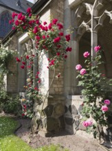 Cloister with roses, St., Saint, Saint