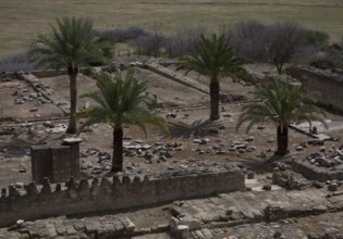 Medina Azahara, ruins of the palace city. Ruin of the mosque detail