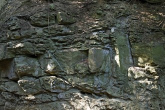 Medieval Kapfelberg quarry, Teugn, where stones were quarried for cathedral construction in the