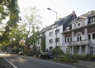 Robinia avenue with gaps between trees, Villa Merländer on the right, built in 1924-1925 by