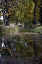 Wörlitz, Landscape Park