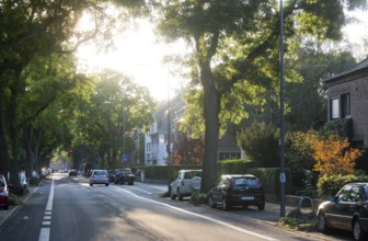 Krefeld, Friedrich-Ebert-Straße, view to Bismarckplatz