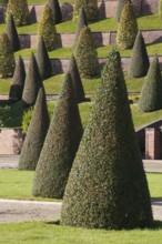 Terraced garden, view of the terraces from the south