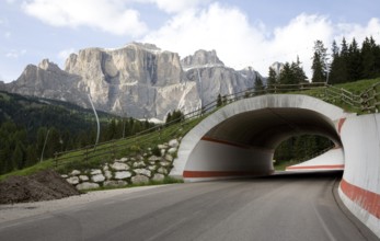 Italy S-Tyrol Ski piste bridge in the Dolomites