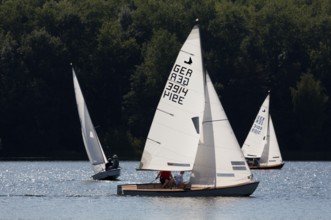 Sailing regatta of the SCV Segelclub Ville, Zugvogel, Schwertzugvogel