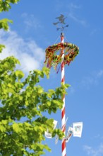 A colourfully decorated maypole, craft, tradition, colourful, colourful, blue sky, customs