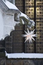 Gargoyle with advent star, Christmas, star, Advent, St., Saint, Saint