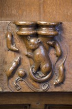 Choir stalls, drolleries on the stall sides with proverbial depictions, 1493 by Johannes Gruter