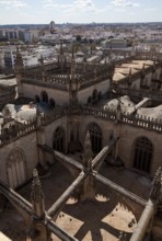 Seville, Cathedral. Roofscape with buttresses Seville, St., Saint, Saint